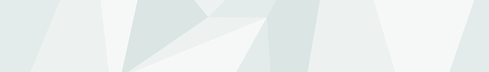 Clever College, Dienstleister, Ausbildung, Weiterbildung, Luftfahrt, Raumfahrt, Hammah, Trennergrafik mit charakteristischen Polygonen