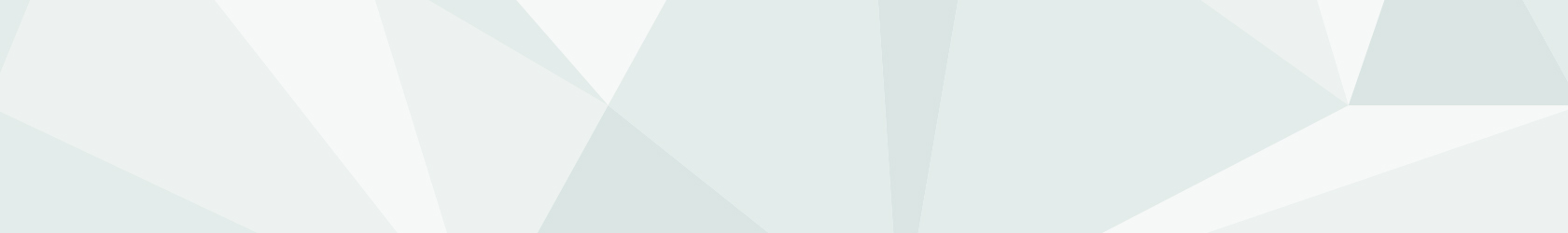 Clever College, Dienstleister, Ausbildung, Weiterbildung, Luftfahrt, Raumfahrt, Hammah, Trennergrafik mit charakteristischen Polygonen